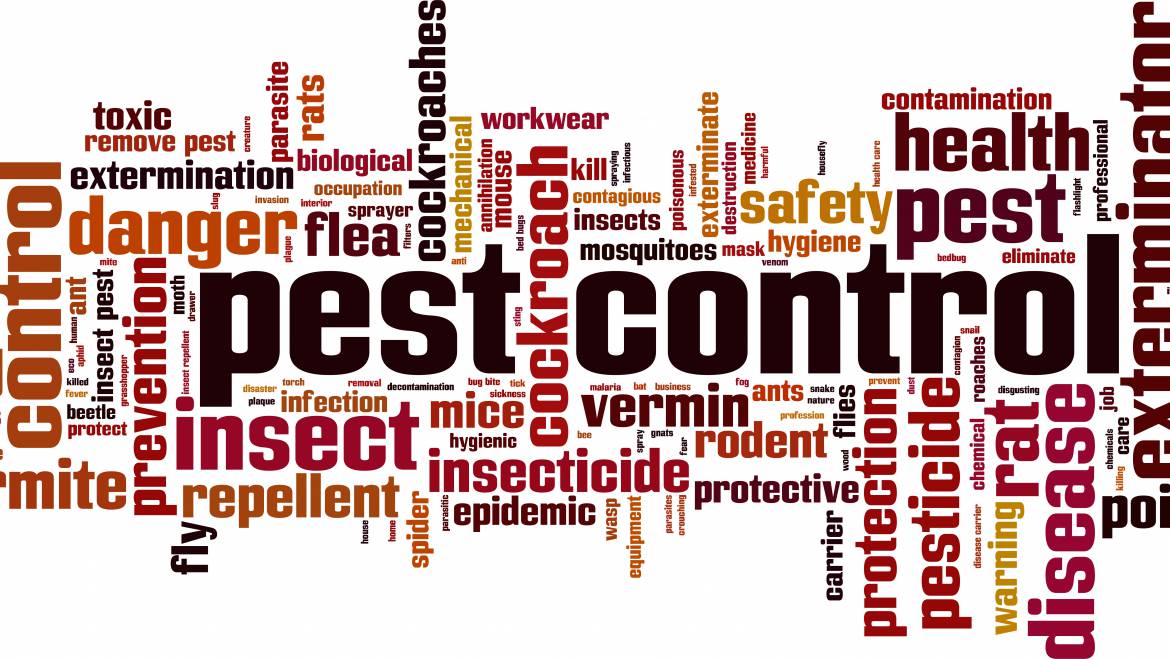 Pest Control : An Introduction