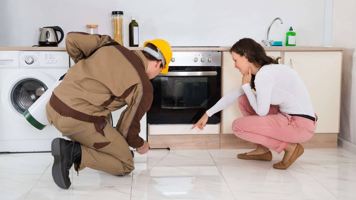Eco-Friendly Pest Control: What It Means and Why It Matters
