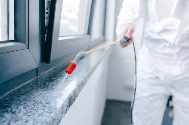 Why DIY Pest Control Often Fails Long Term