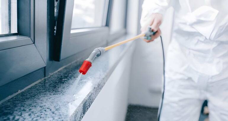 Why DIY Pest Control Often Fails Long Term