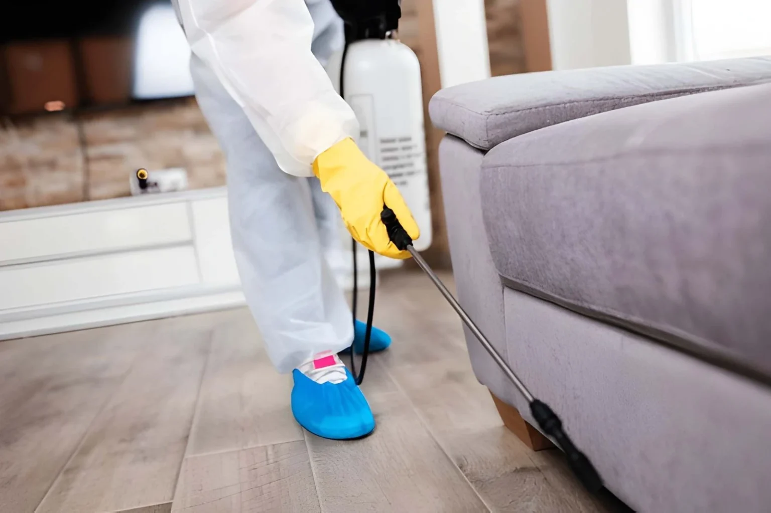 pest extermination burnaby